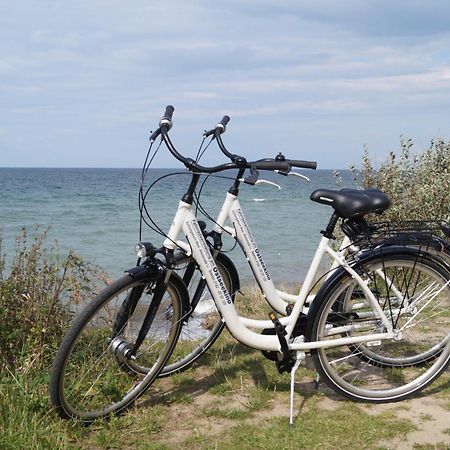 Fewo Fam. Droese Ostseebad Kühlungsborn エクステリア 写真